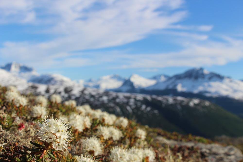 Glacier Hotel Valdez Zewnętrze zdjęcie